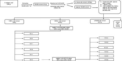 Investigation of Antidiabetic Effect of Pistacia atlantica Leaves by Activity-Guided Fractionation and Phytochemical Content Analysis by LC-QTOF-MS